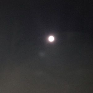 Meet your Posher, Carmen